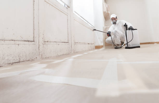 24/7 Emergency Attic Mold Removal experts in Newton, TX