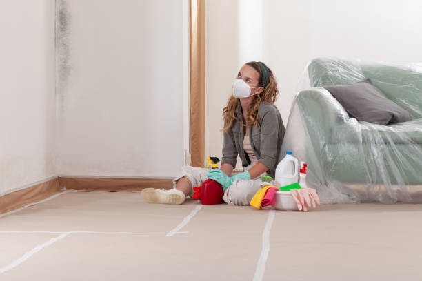 Reliable Attic Mold Removal contractor in Newton, TX by WQB Mold Removal
